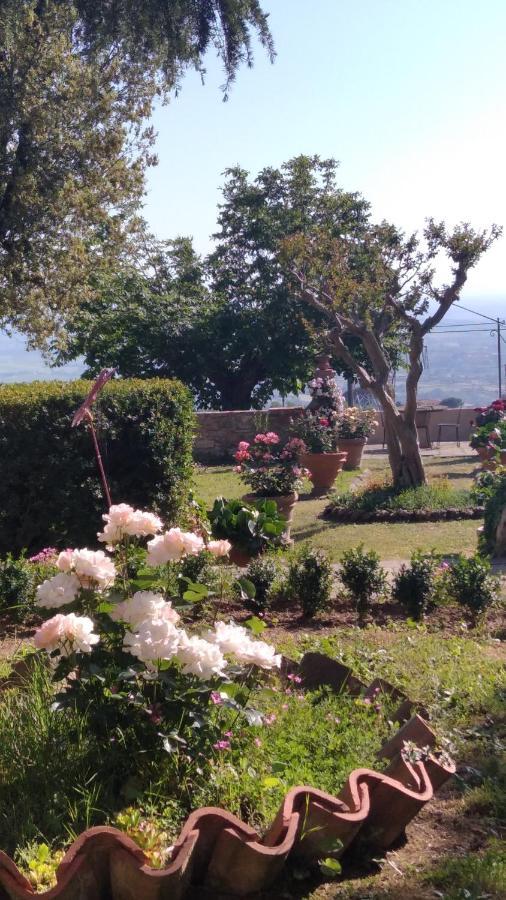 San Baronto Villa Di Papiano מראה חיצוני תמונה